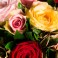 BOUQUET ROSE MELANG&Eacute;