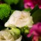 Bouquet Rose Pastel
